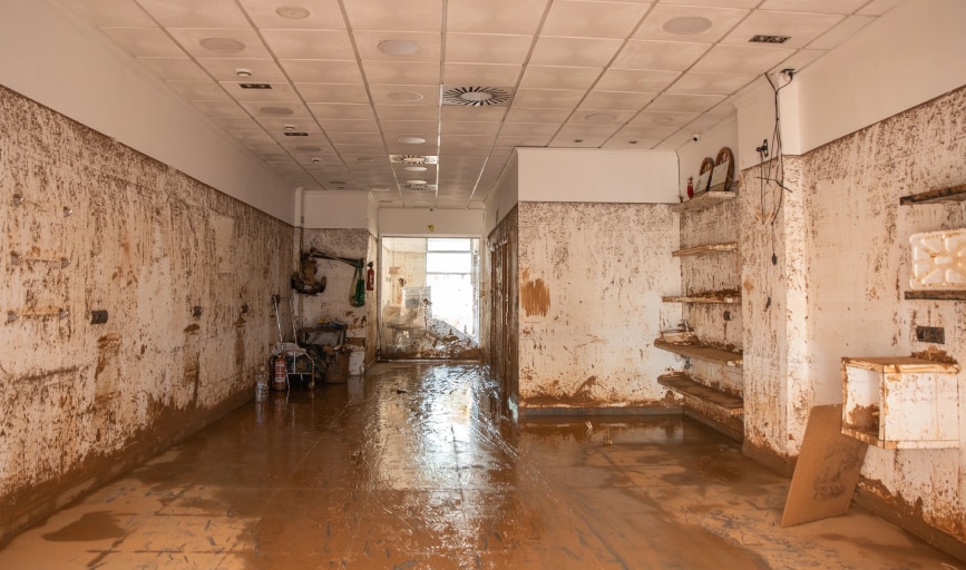 Flood Damage Restoration